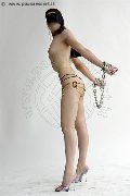 Foto Annunci Transescort Milano Ana Italiana 340 2666113 - 61