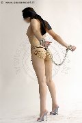 Foto Annunci Transescort Milano Ana Italiana 340 2666113 - 62