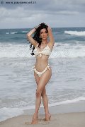 Foto Annunci Transescort Modena Vanessa Hilton 324 5846577 - 108