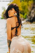 Foto Annunci Transescort Ospitaletto Graziella Farias 351 5874125 - 26