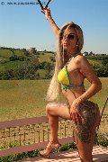 Foto Annunci Transescort Pavia Bruna Xxl 329 5914684 - 6