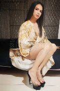 Foto Annunci Transescort Pordenone Biancaladyboy 393 2233064 - 48