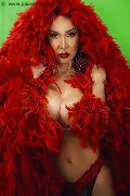 Foto Annunci Transescort Quarto D'altino Karolina 366 8164945 - 17