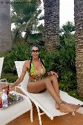 Foto Annunci Transescort Reggio Emilia Erotika Flavy Star 338 7927954 - 405