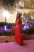 Foto Annunci Transescort Reggio Emilia Erotika Flavy Star 338 7927954 - 433