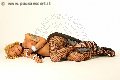 Foto Annunci Transescort Roma Robby 333 6677555 - 4