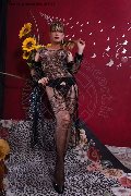 Foto Annunci Transescort Savona Lisa Valle 334 1087500 - 12