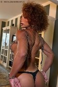 Foto Annunci Transescort Torino Riccia 366 3044467 - 9