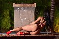 Foto Annunci Transescort Torino Sophie Vergara 351 6700925 - 15