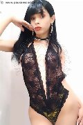 Foto Annunci Transescort Trento Gabriella Andrade 328 0050444 - 3