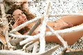 Foto Hot Annunci Trans Villa Rosa Giselly Bella 351 8461907 - 9