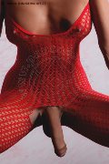 Foto Hot Annunci Transescort Avignone Gabriella Class 0033 644909832 - 9