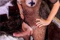 Foto Hot Annunci Transescort Legnano Ale Cavallona 350 8935739 - 7