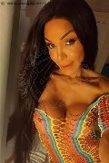 Frosinone Trans Wanessa Armani 351 80 69 231 foto selfie 3