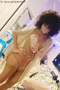 Gallarate Trans Daysy 339 33 89 602 foto selfie 13