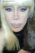 Milano Trans Nicole Vip Venturiny 353 35 38 868 foto selfie 247
