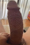  Trans Escort Adriana Ventury Pornostar 320 16 06 762 foto selfie 179