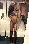 Legnano Trans Escort Miele 331 78 08 280 foto selfie 14