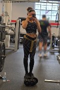 Milano Trans Escort Violet 331 38 81 628 foto selfie 14