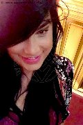 Bordighera Trav Danny Xl 351 06 89 893 foto selfie 2