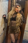 Salerno Trav Escort Ita Cabral Xxl 380 78 81 204 foto selfie 1