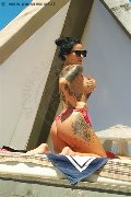 Foto Annunci Escort Verbania Ilenia 320 9767007 - 2
