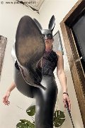 Foto Annunci Mistress Bologna Mistress Charlotte 351 4303230 - 6