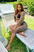 Foto Annunci Trans Alba Adriatica Hillary Brasiliana 338 4136322 - 43