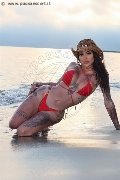 Foto Annunci Trans Avellino Bruninha 350 8578851 - 31