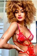 Foto Annunci Trans Milano Stella 329 5563971 - 25