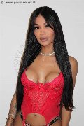 Foto Annunci Trans Roma Mikaella Pimentell Pornostar 329 3410689 - 6