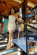 Foto Annunci Trans Verona Bianca Maravilla 380 7848515 - 49