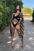 Foto Annunci Trans Verona Nick Miller 338 2945956 - 52