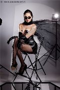 Foto Annunci Trans Verona Nick Miller 338 2945956 - 33