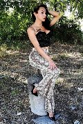 Foto Annunci Transescort Adriana Paulett 389 1399263 - 311