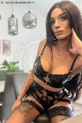 Foto Annunci Transescort Imola Brunna Campanaro 350 9335566 - 63
