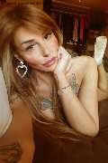 Foto Annunci Transescort Lissone Angelica 345 7772206 - 26