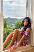 Foto Annunci Transescort Milano Nicole Andrade 329 8948041 - 128