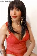 Foto Annunci Transescort Prato Tain� Oliveira 328 5382487 - 50