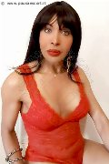 Foto Annunci Transescort Prato Tain� Oliveira 328 5382487 - 49