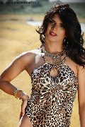 Foto Annunci Trav Basilea Flavia Bambola 331 3153877 - 88