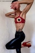 Foto Annunci Travescort Roma Ariel Femboy 329 5516521 - 5