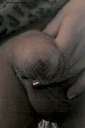 Foto Hot Annunci Trans Cassano Delle Murge Monique 320 1830286 - 28