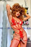 Foto Hot Annunci Transescort Milano Stella 329 5563971 - 5