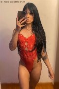 Milano Trans Rafaela Bastos 329 55 79 942 foto selfie 37