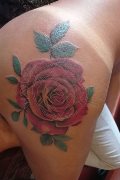 Torre Del Lago Puccini Trans Pamela Sexy 389 11 65 704 foto selfie 15