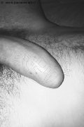 Prato Trans Escort Lucrezia Hikman 351 29 44 990 foto selfie 87