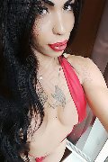 Vercelli Trans Escort Rayla Rios 329 38 77 403 foto selfie 37